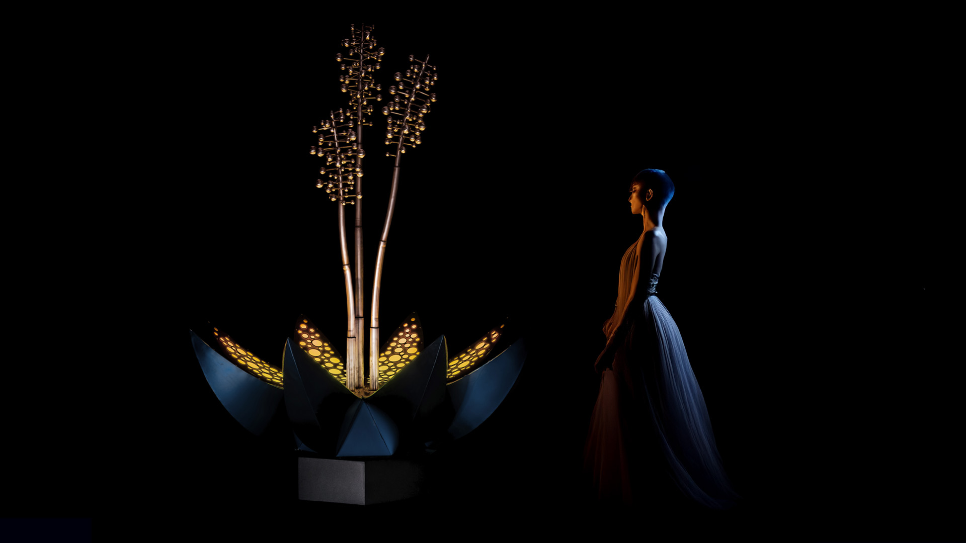 Multispheraflora Cover