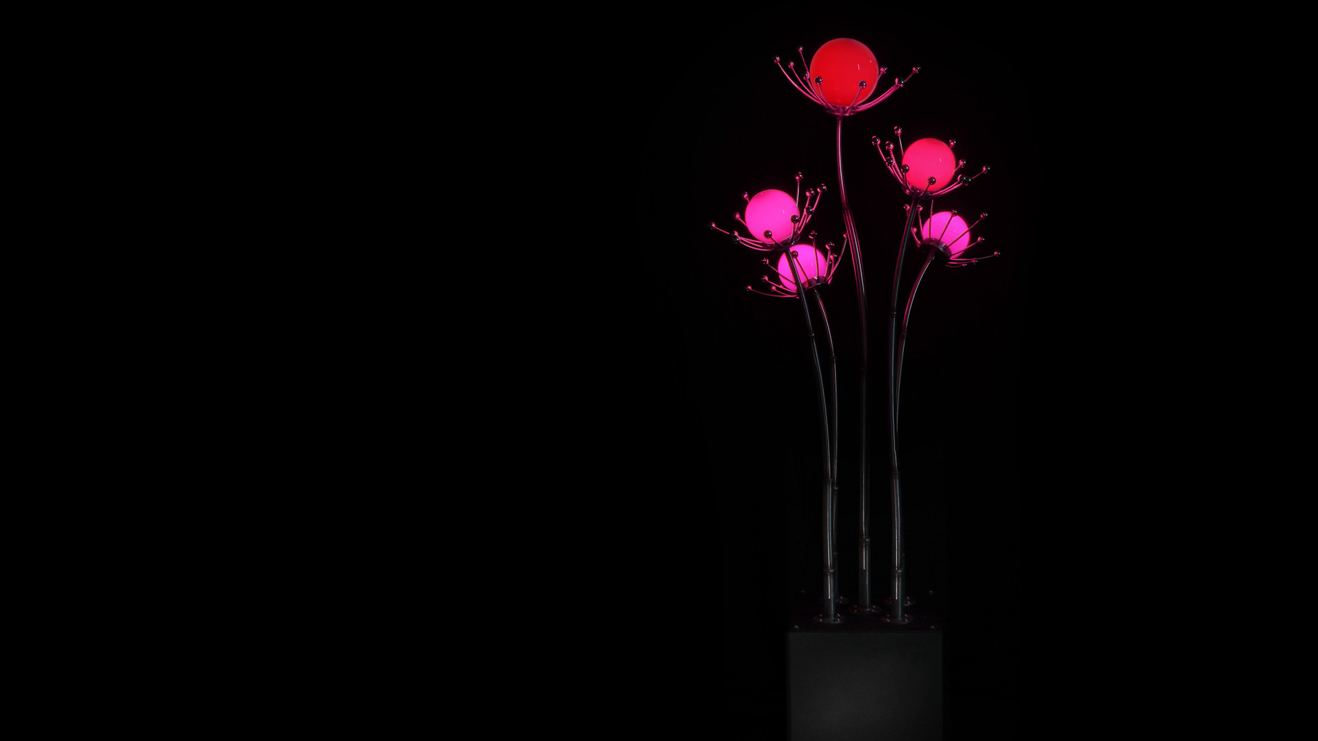 Spinaglobi Herbaferrum 3