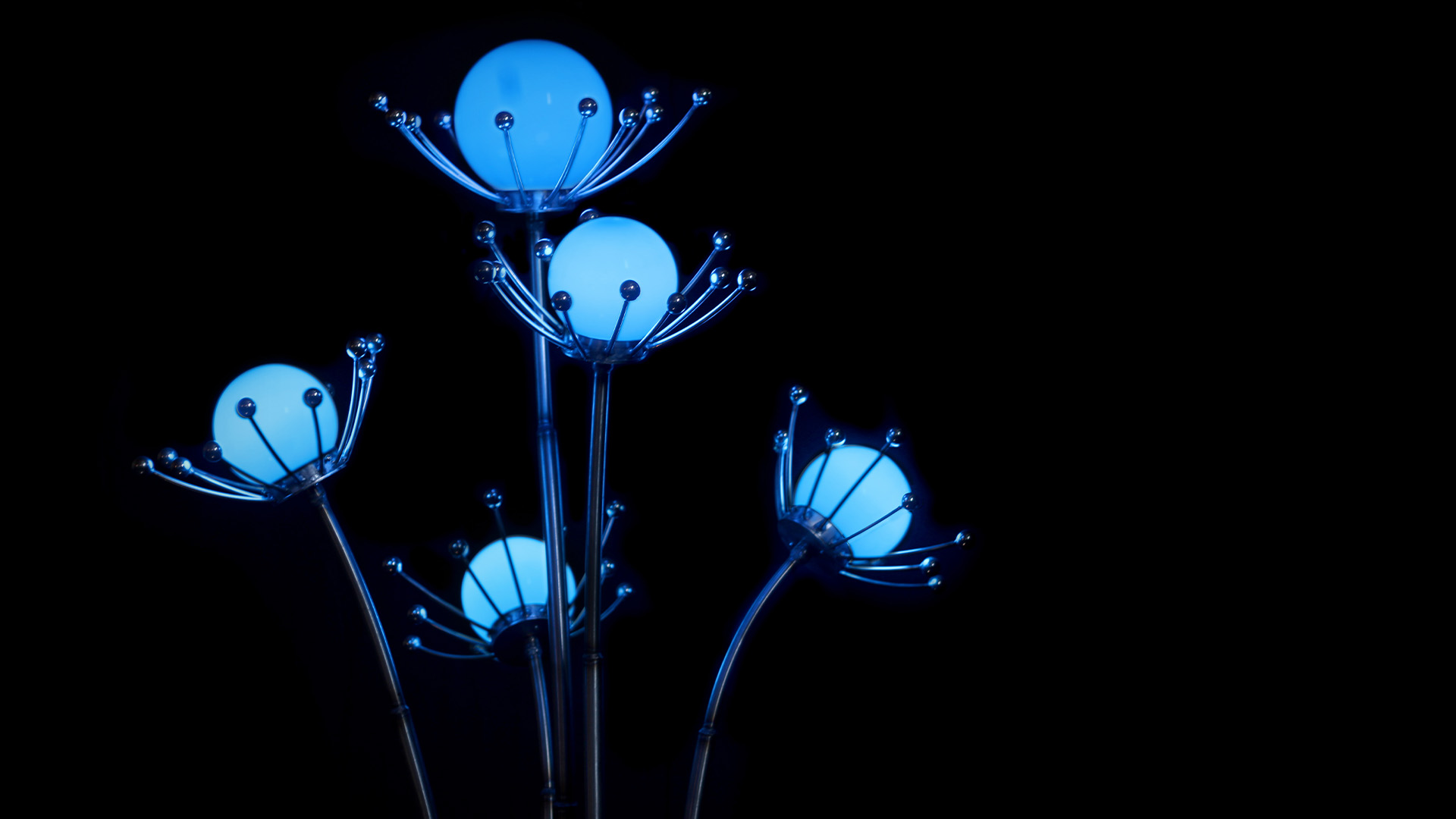 Spinaglobi Herbaferrum 4