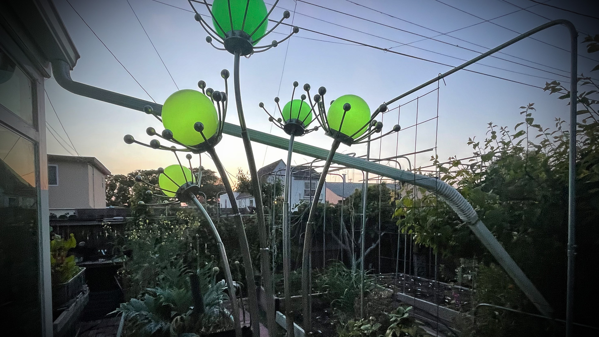 Spinaglobi Herbaferrum 6