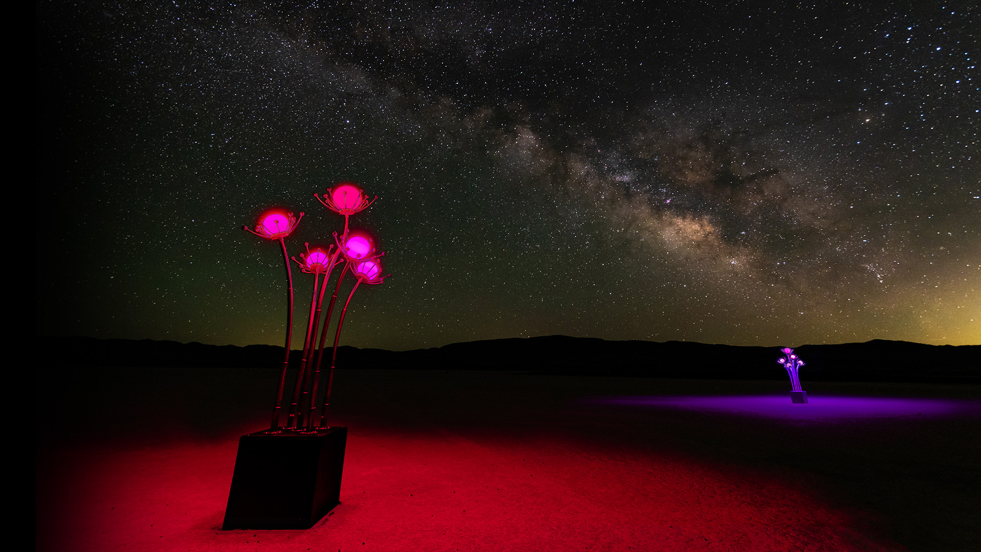 Spinaglobi Herbaferrum Cover