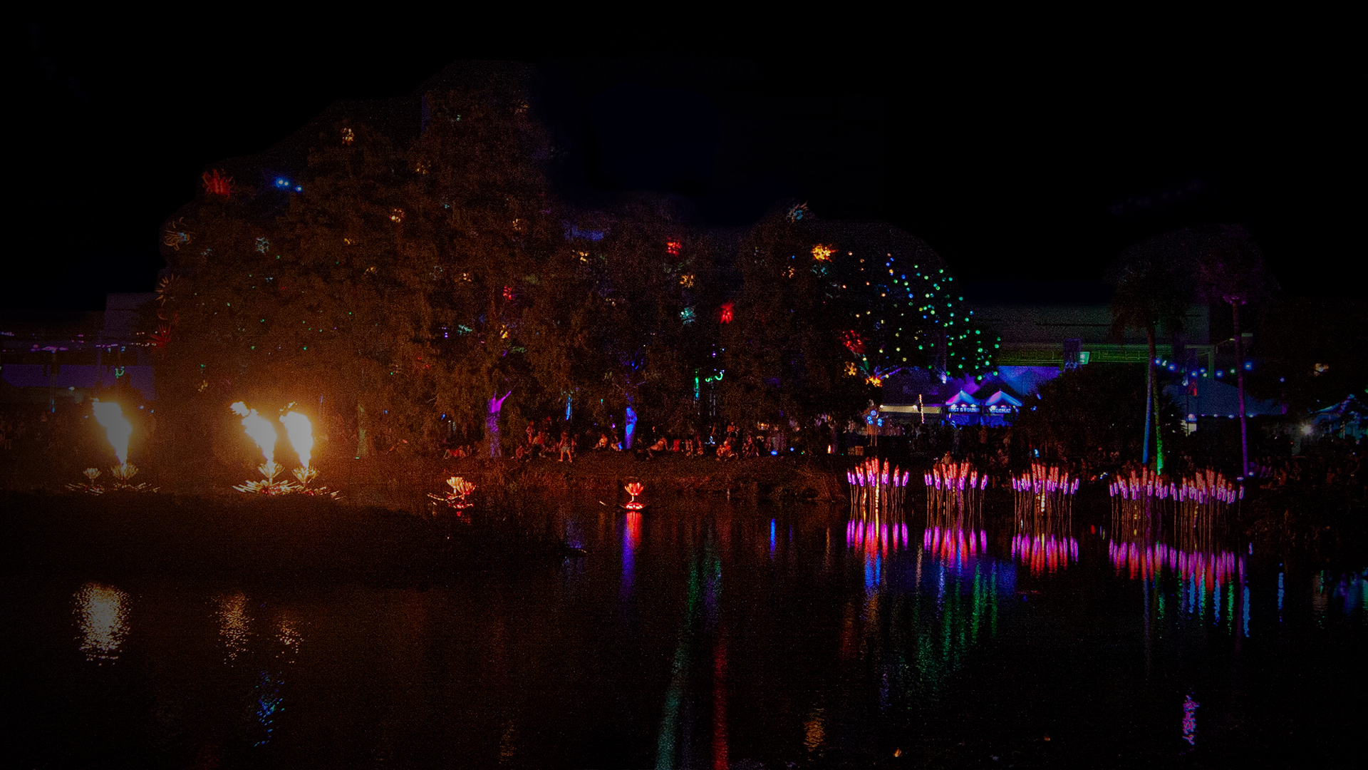 Typhalumi Ferrafoli 2