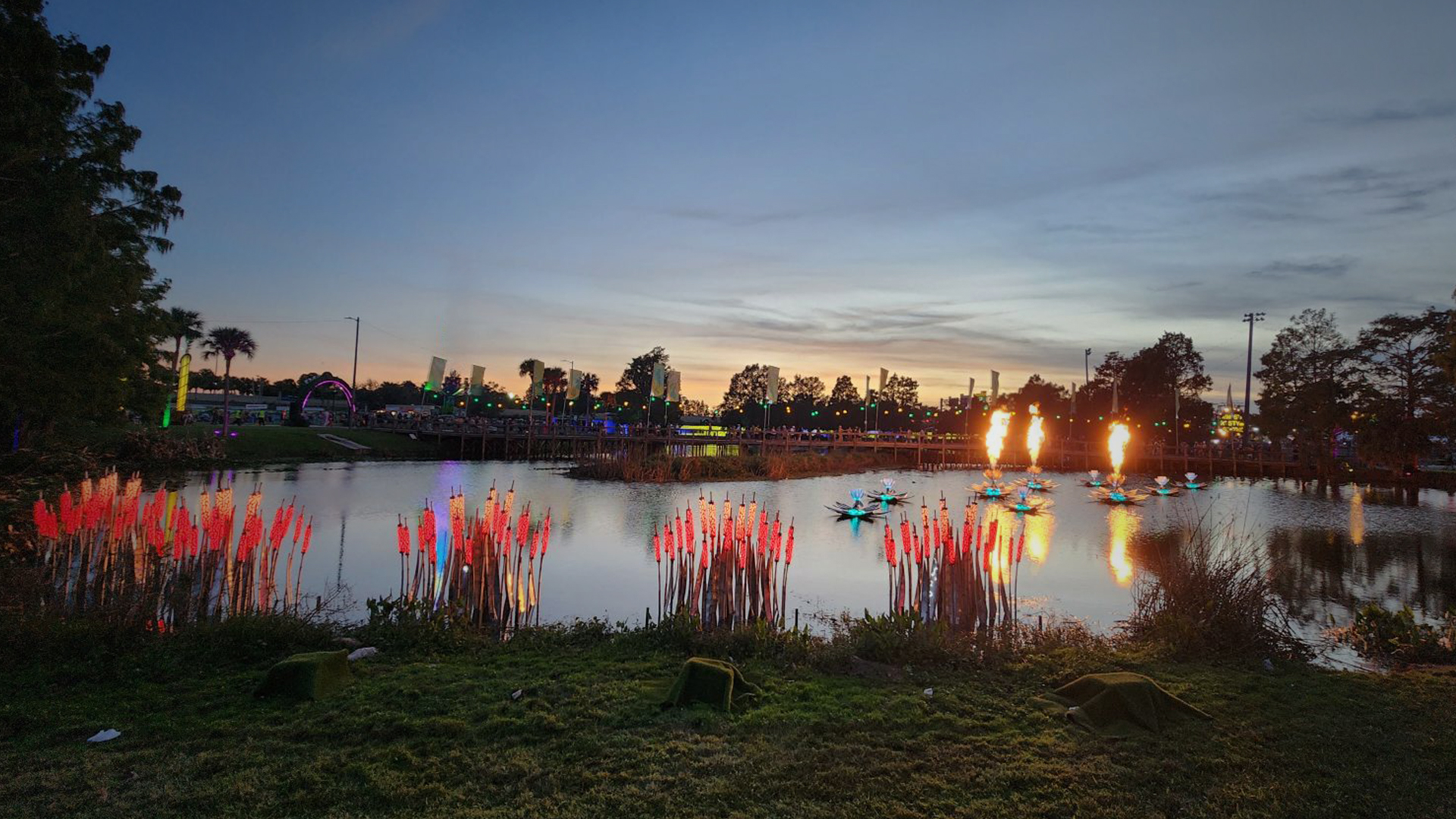 Typhalumi Ferrafoli 3