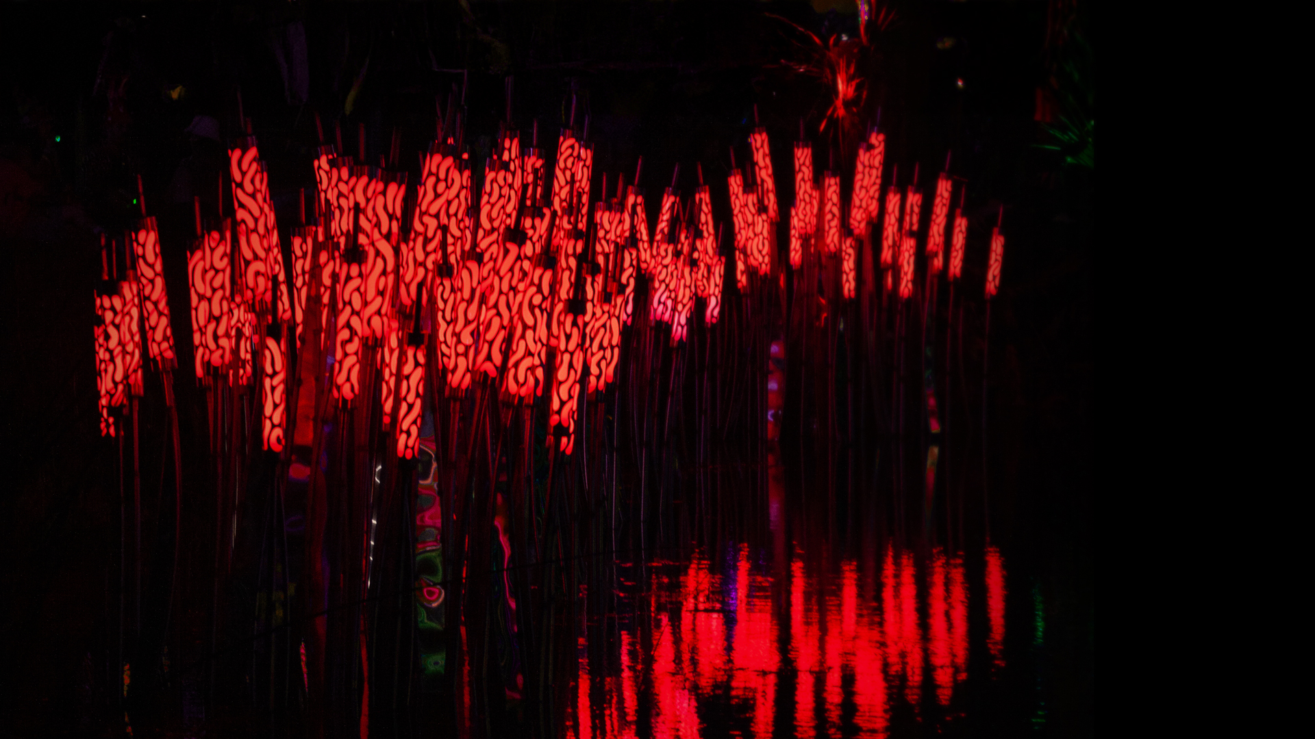 Typhalumi Ferrafoli 4